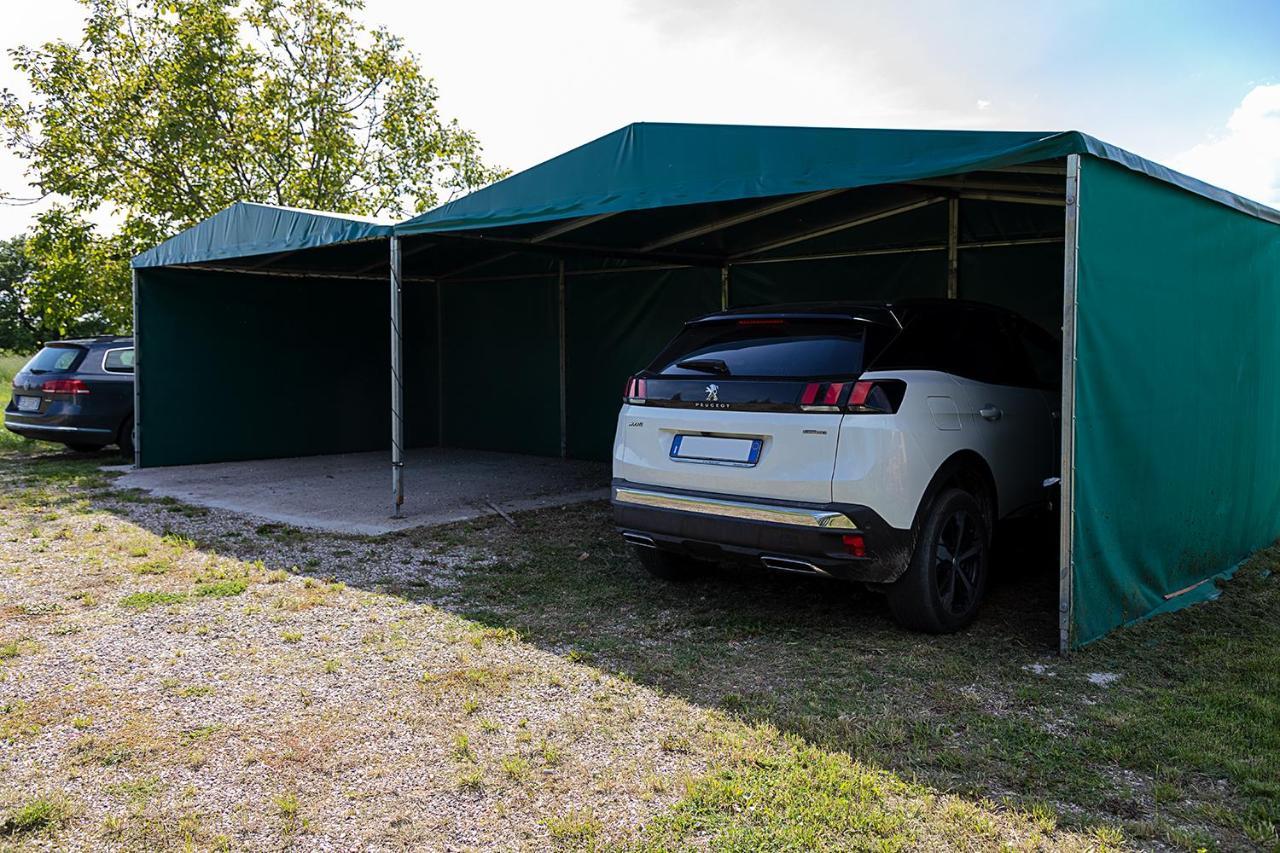Rustico Park Delle Rose - Regarda Travel Lejlighed Lazise Eksteriør billede
